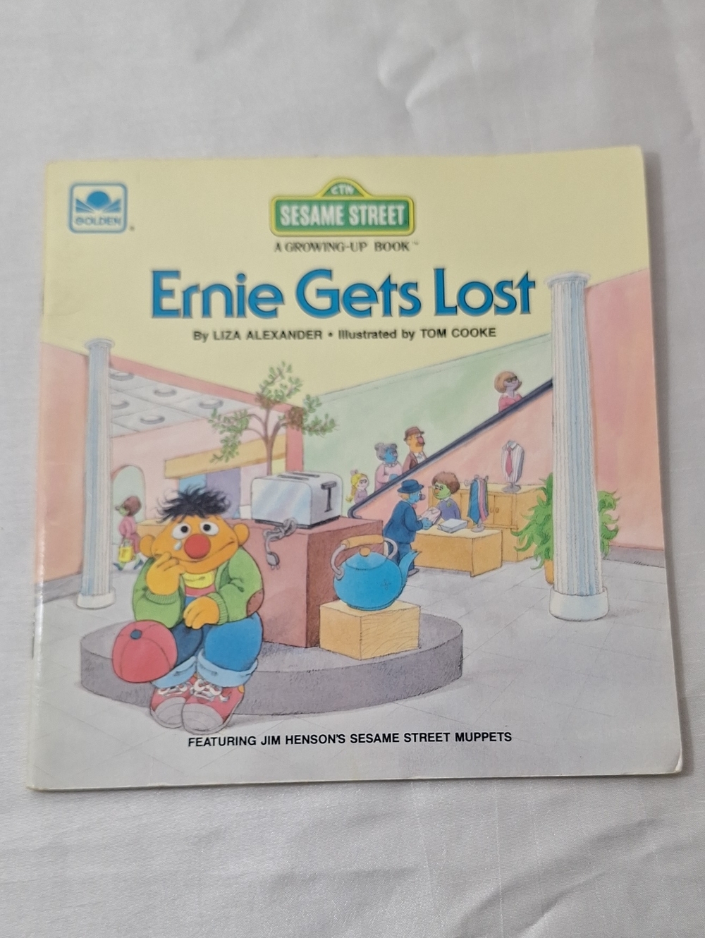 Ernie Gets Lost Book